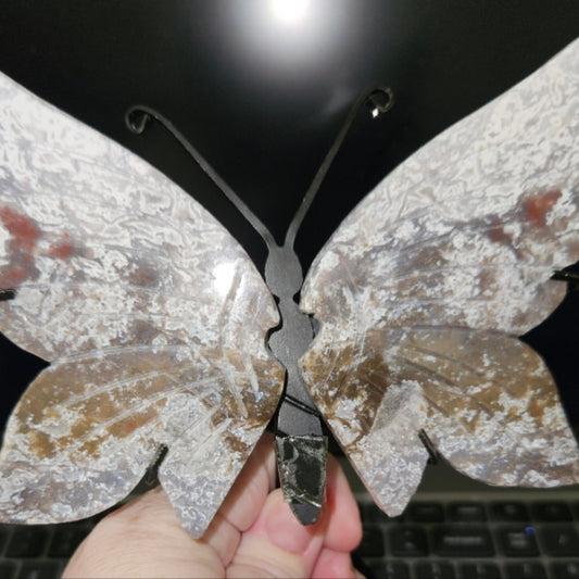 Ocean Jasper wings - Regular