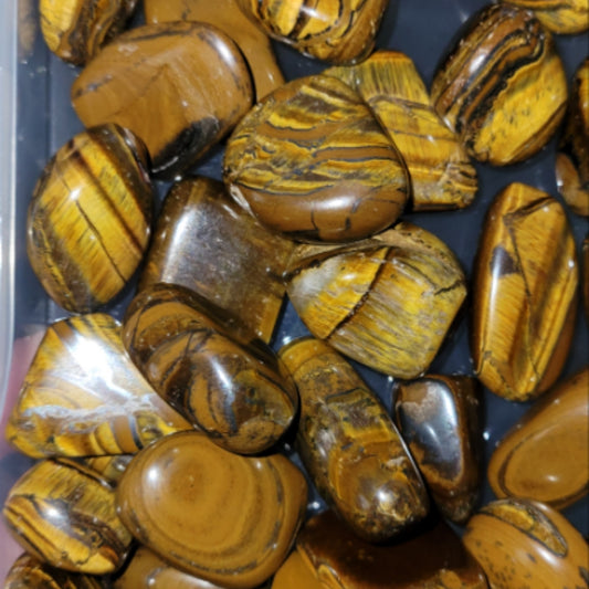 Tigers Eye