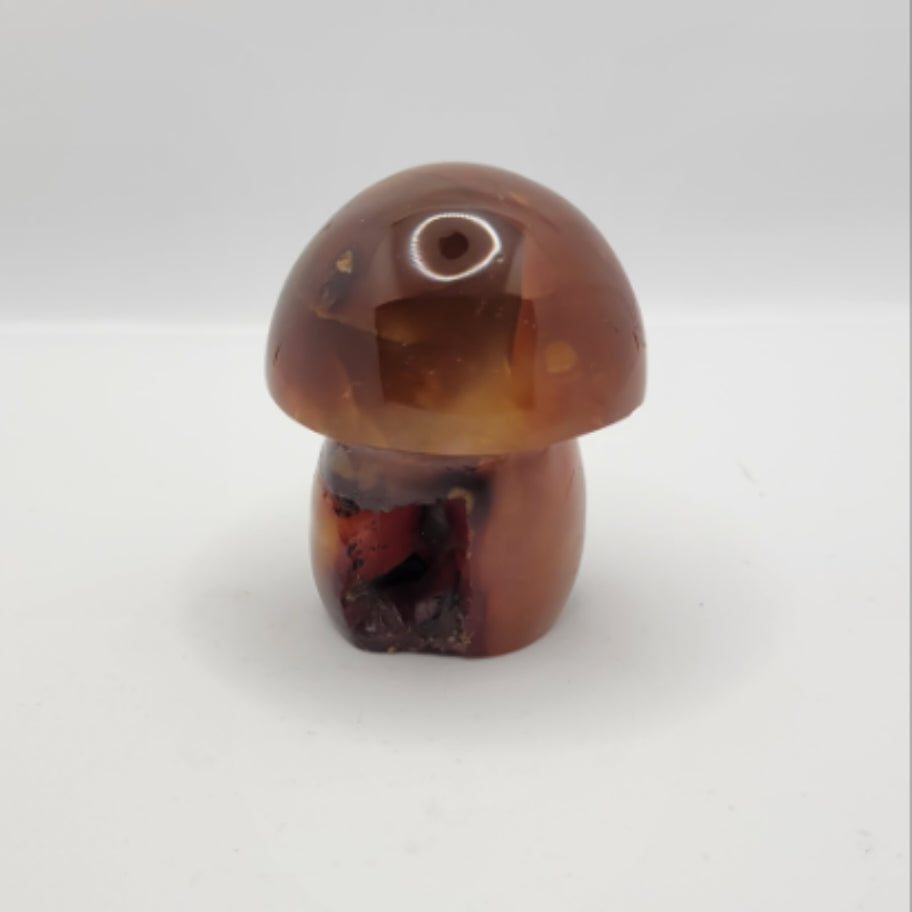 Carnelian Mushroom - A