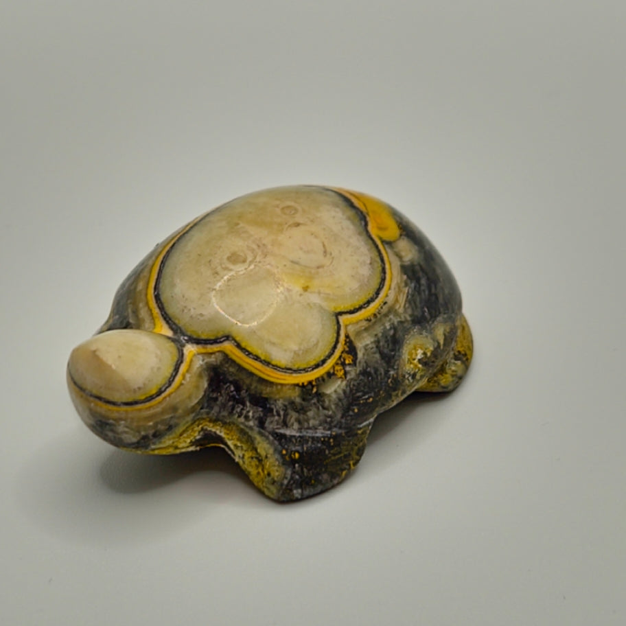 Bumblebee Jasper turtle