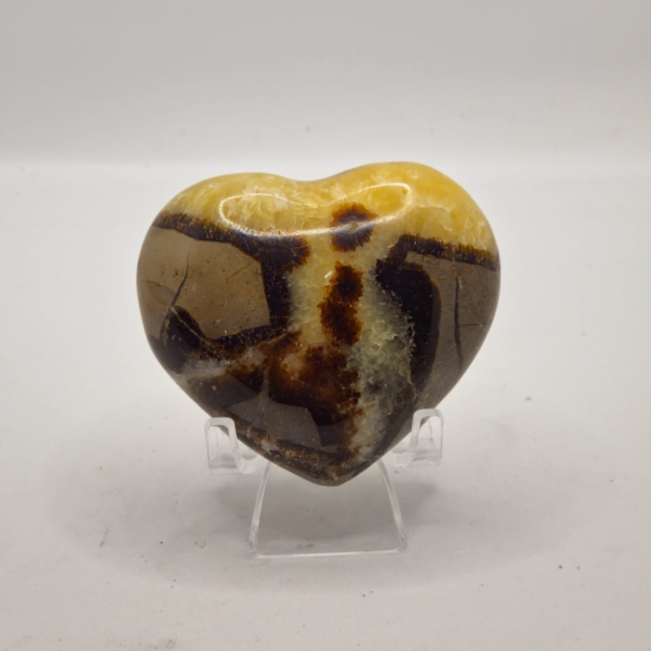 Septarian