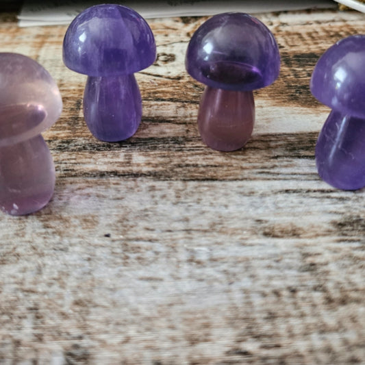 Flourite mushrooms